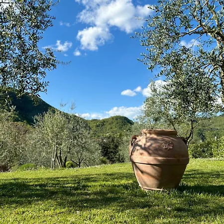 Podere Maria Lena, Casentino * Chitignano