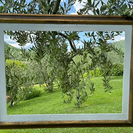 Podere Maria Lena, Casentino Villa *